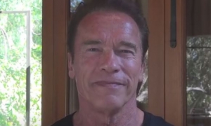 Arnold Responds to Stone Cold Steve Austin